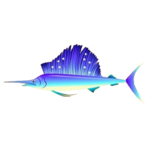 Twilight Sailfish